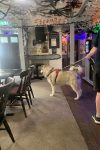 Whatever happened to the British boozer?
