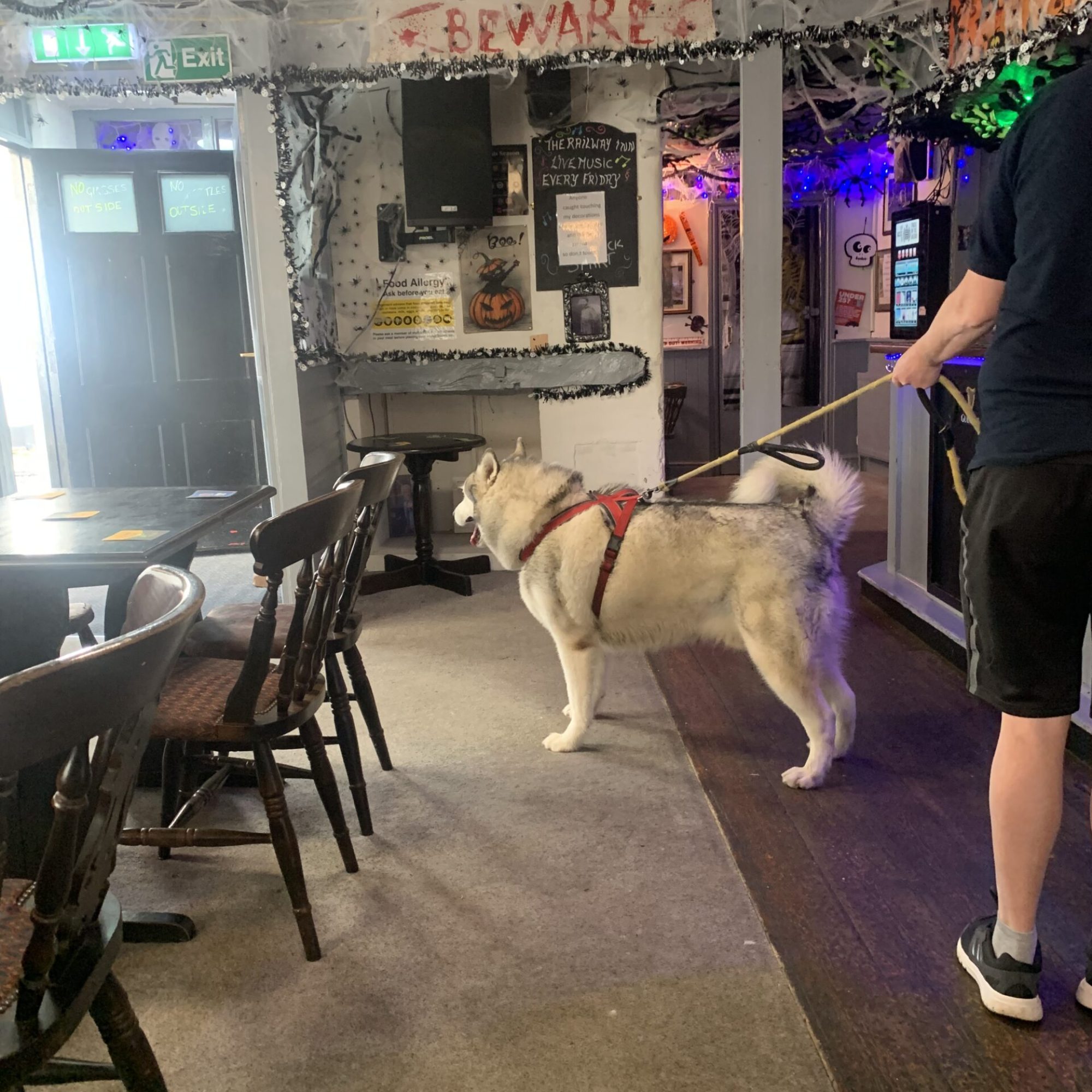 Whatever happened to the British boozer?