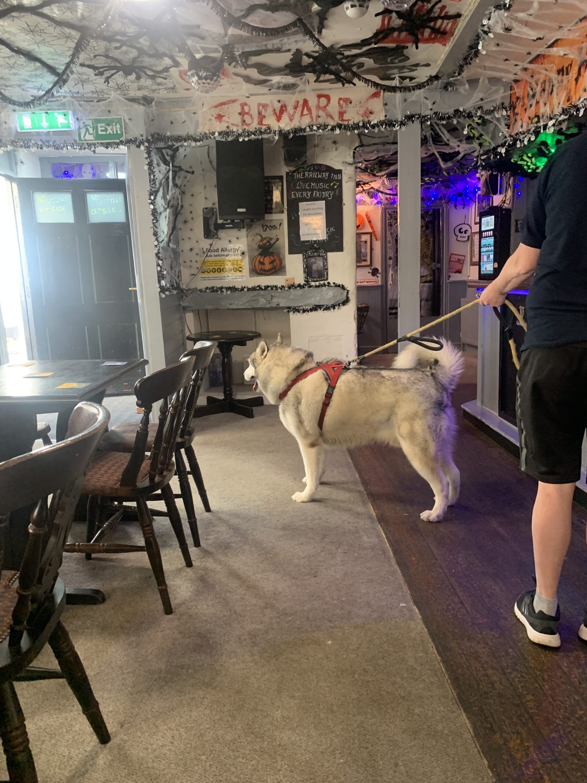 You are currently viewing Whatever happened to the British boozer?