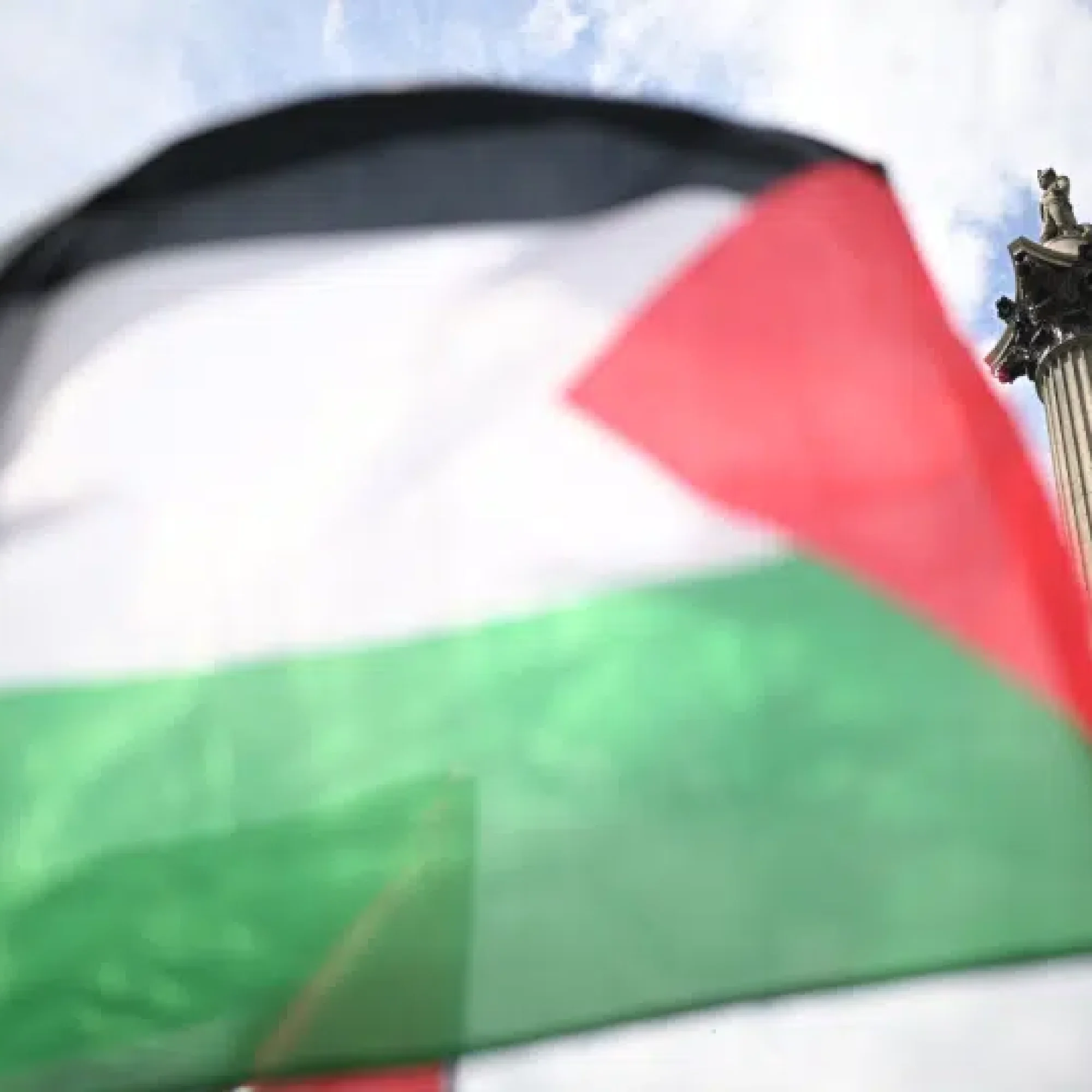 Pro-Palestine Greens tell party: stop binning candidates to pander to Israel lobby