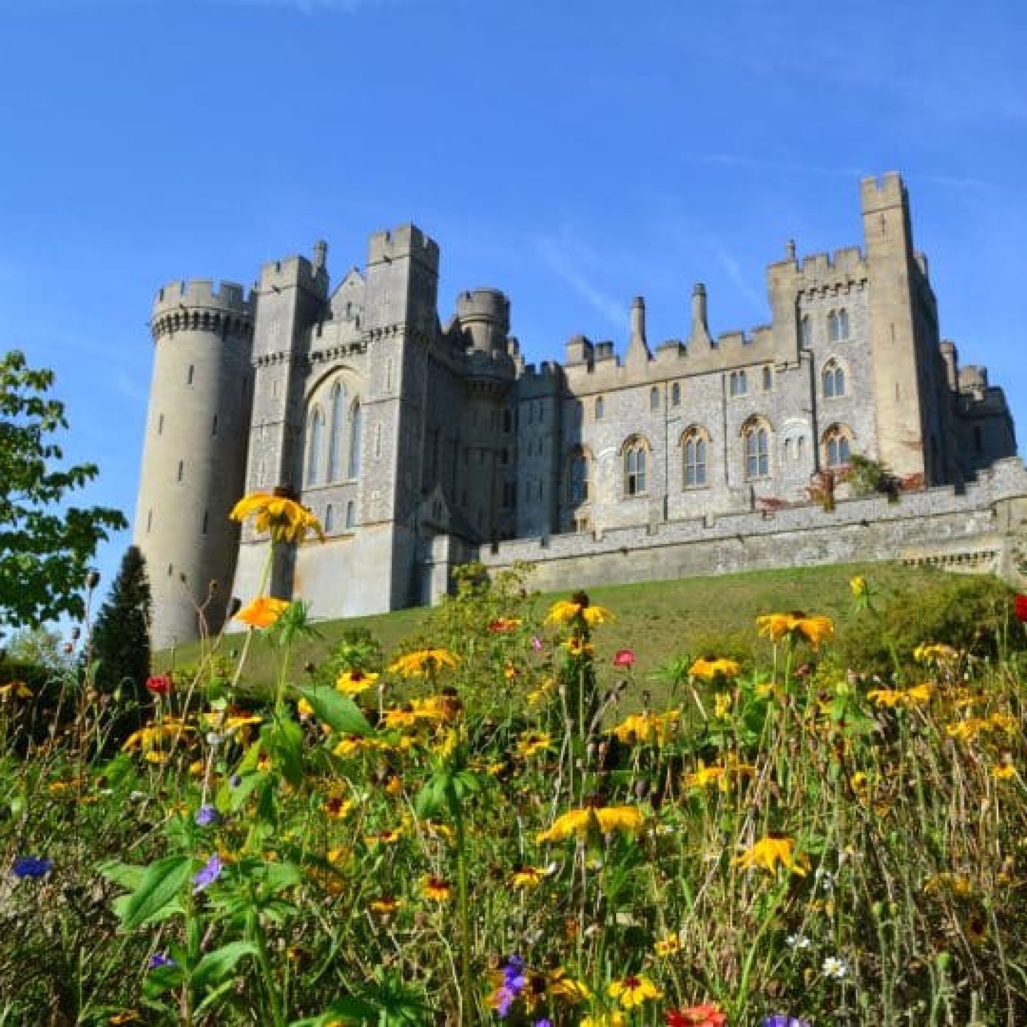 The Duke of Norfolk is set to host a dinner for Reform donors at Arundel Castle
