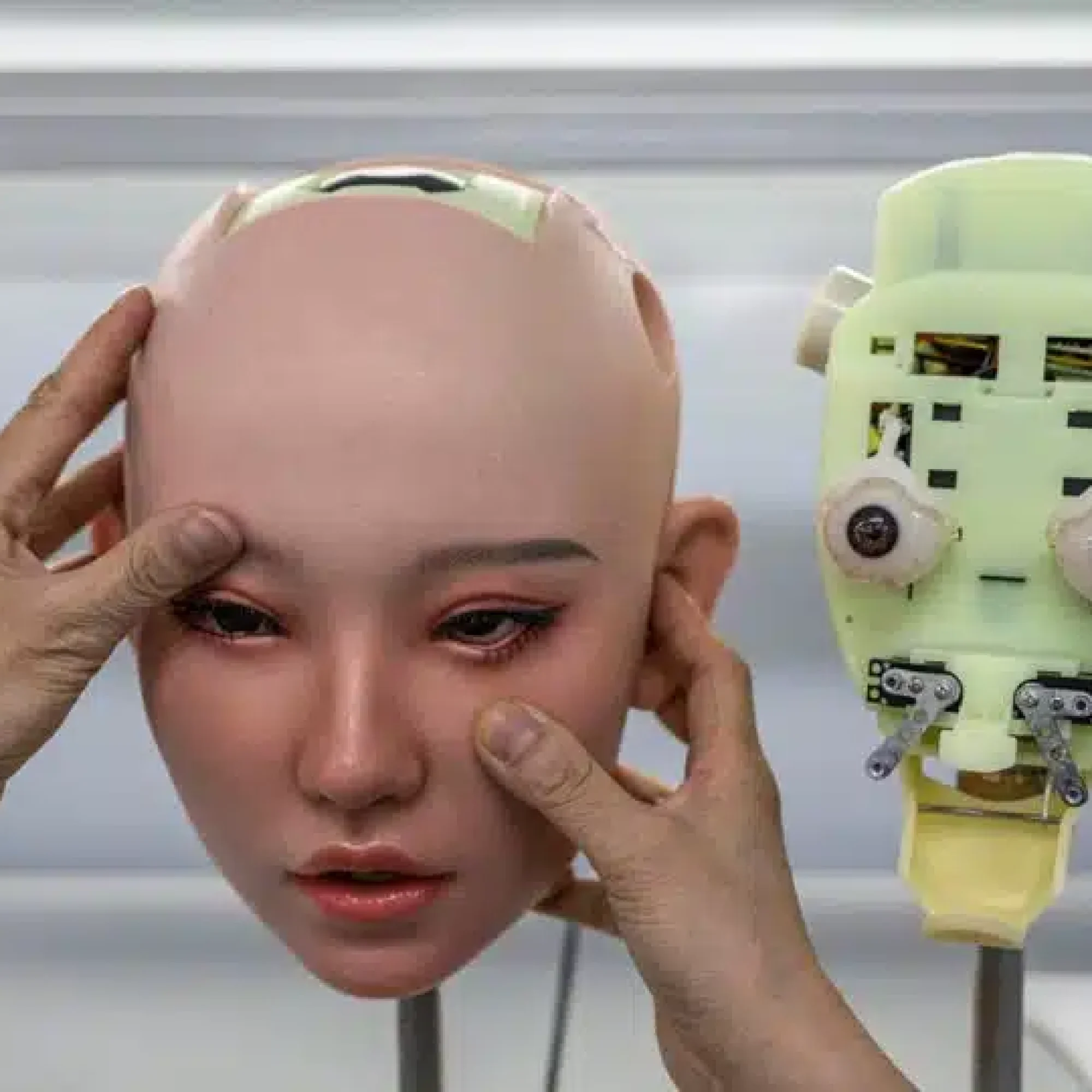 We don’t need AI – AI needs us