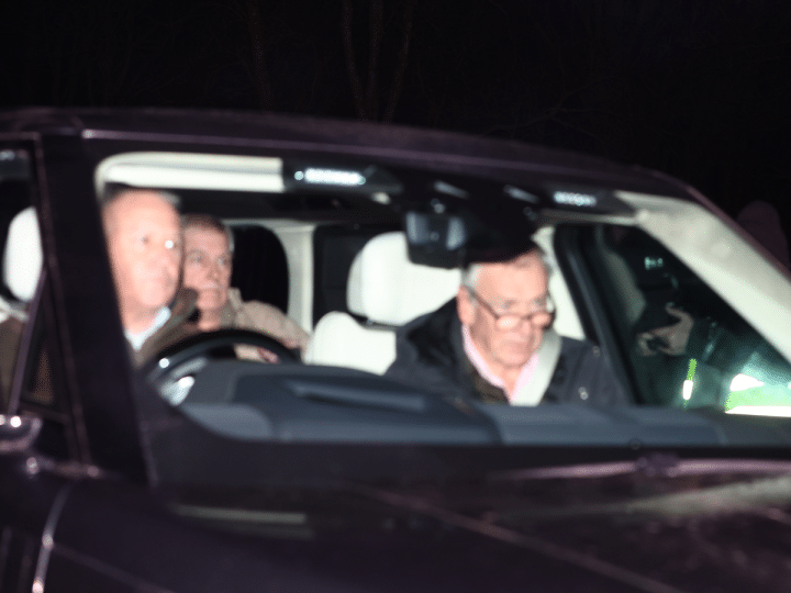 ‘Non-working’ royals raking in cash and living rent-free in palaces – including Andrew
