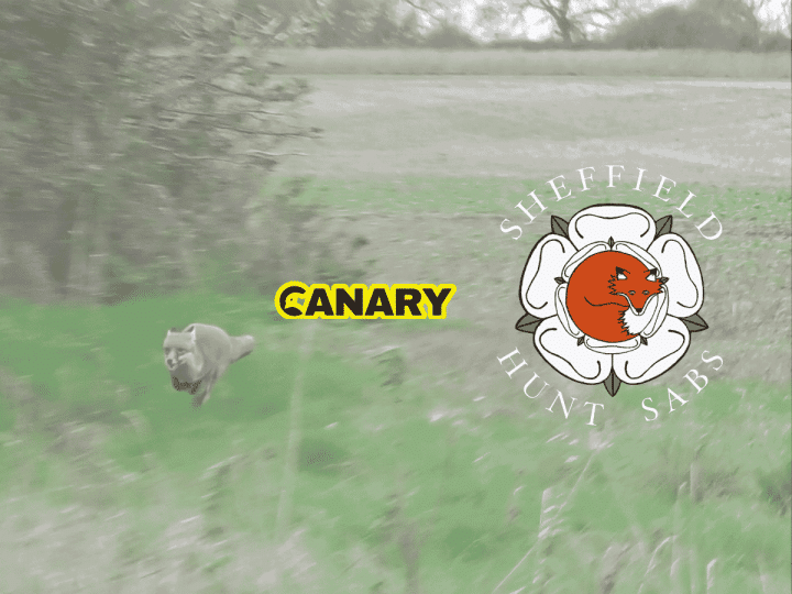 Two men charged after badger sett compromised near Newark