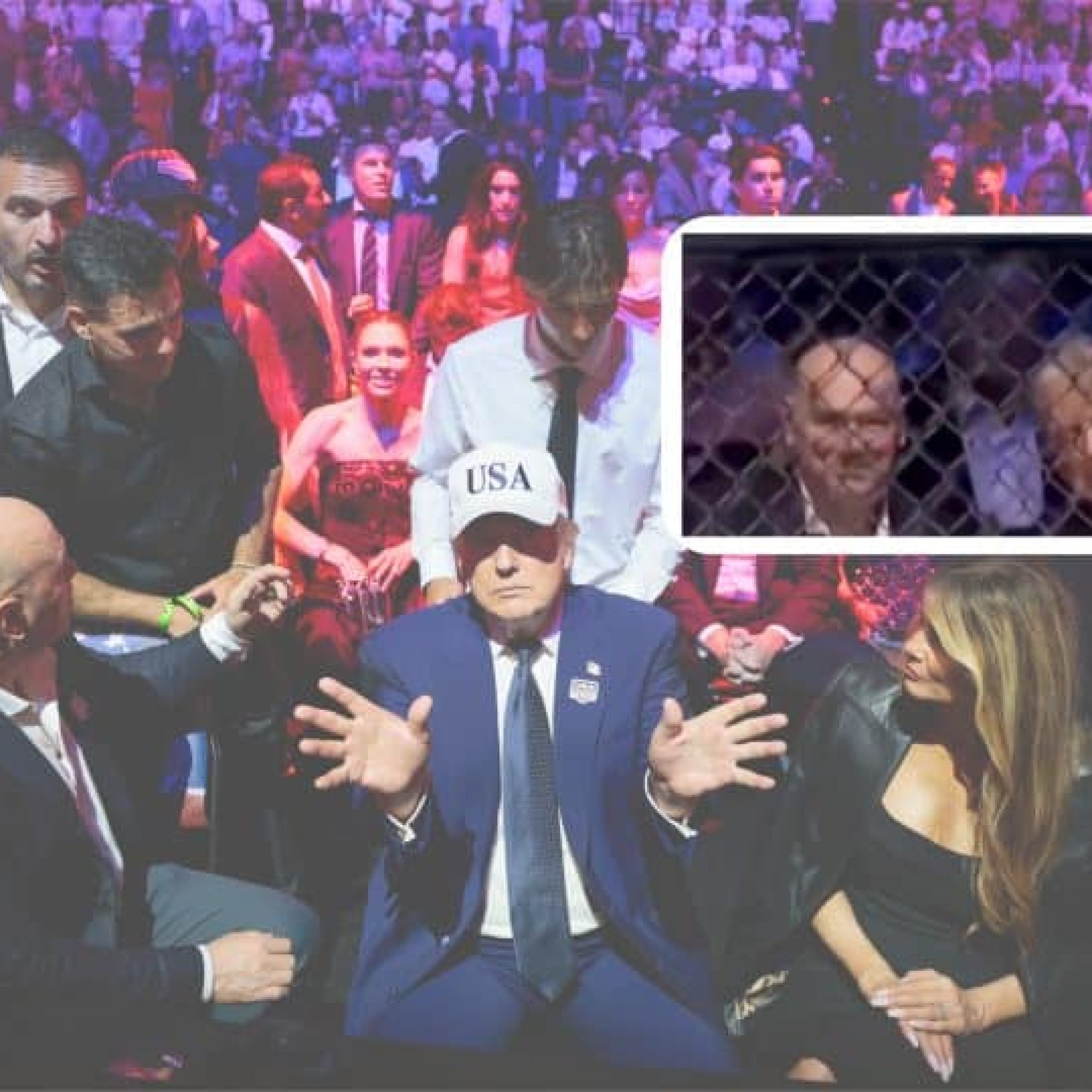 Trump fell asleep at White House UFC match