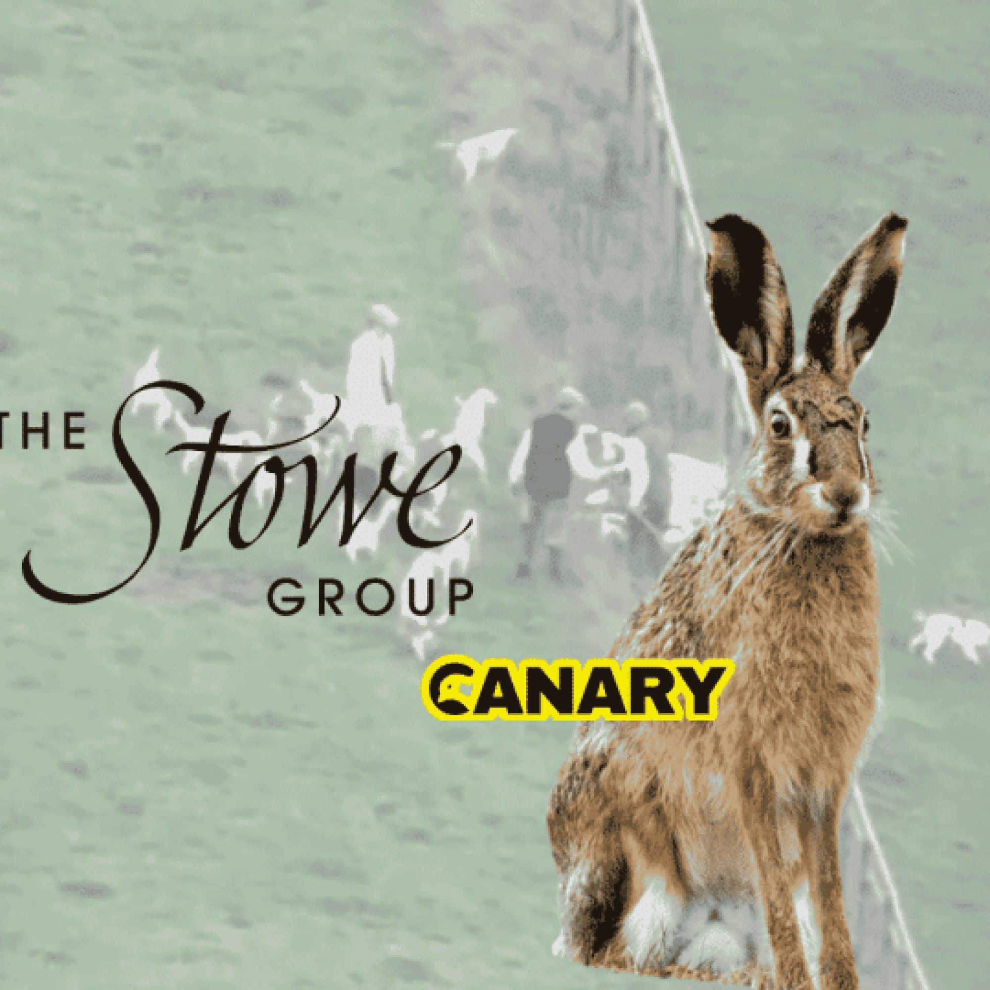 Hunt activities at elite school exposed after illegal hare killing