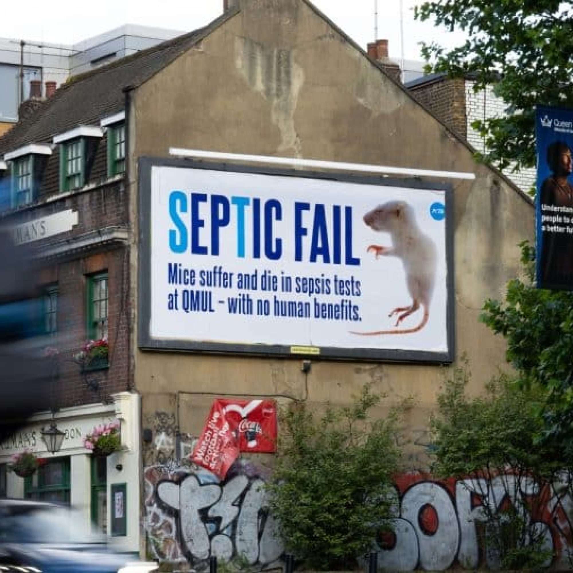 ‘Dead Mouse’ slams cruel sepsis experiments at QMUL open day