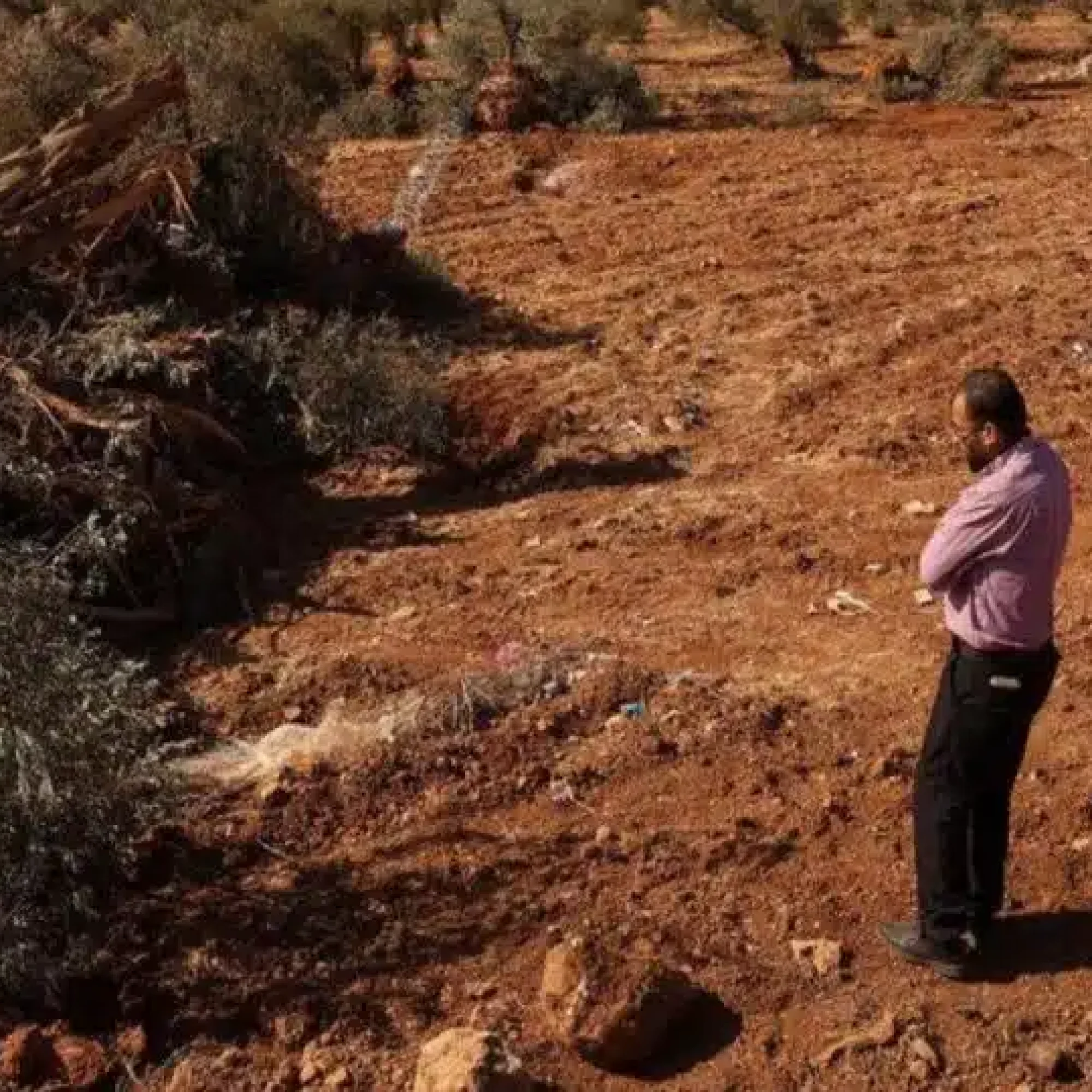 Erasing Anything Palestinian: A new Amnesty International report