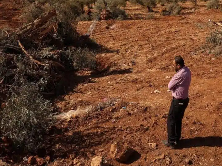 Erasing Anything Palestinian: A new Amnesty International report