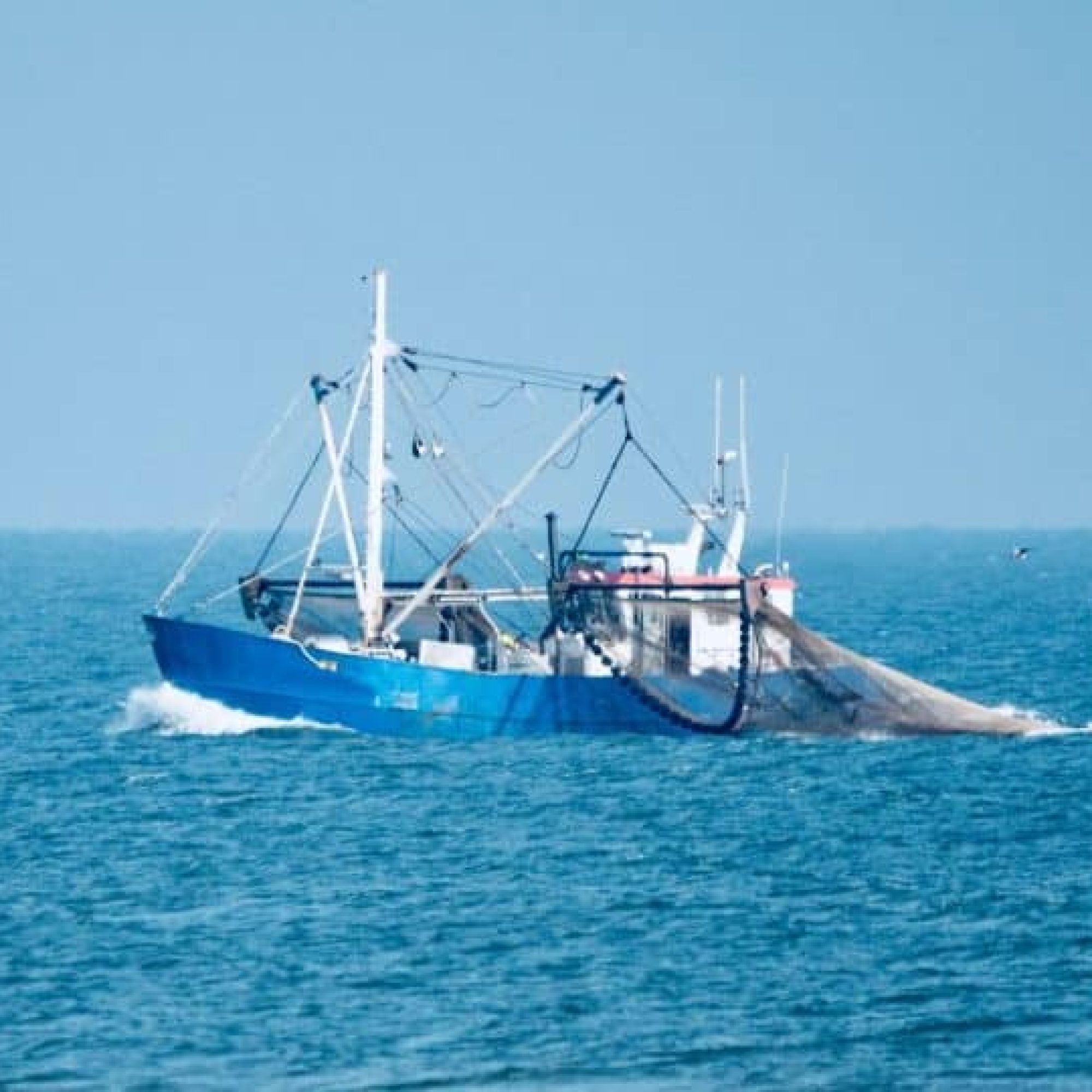 Hidden boat ownership risks fuelling illegal fishing in UK waters