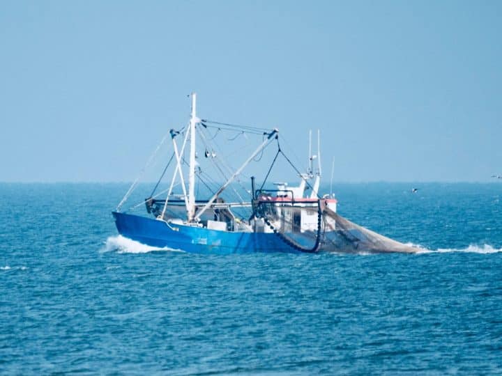 Hidden boat ownership risks fuelling illegal fishing in UK waters