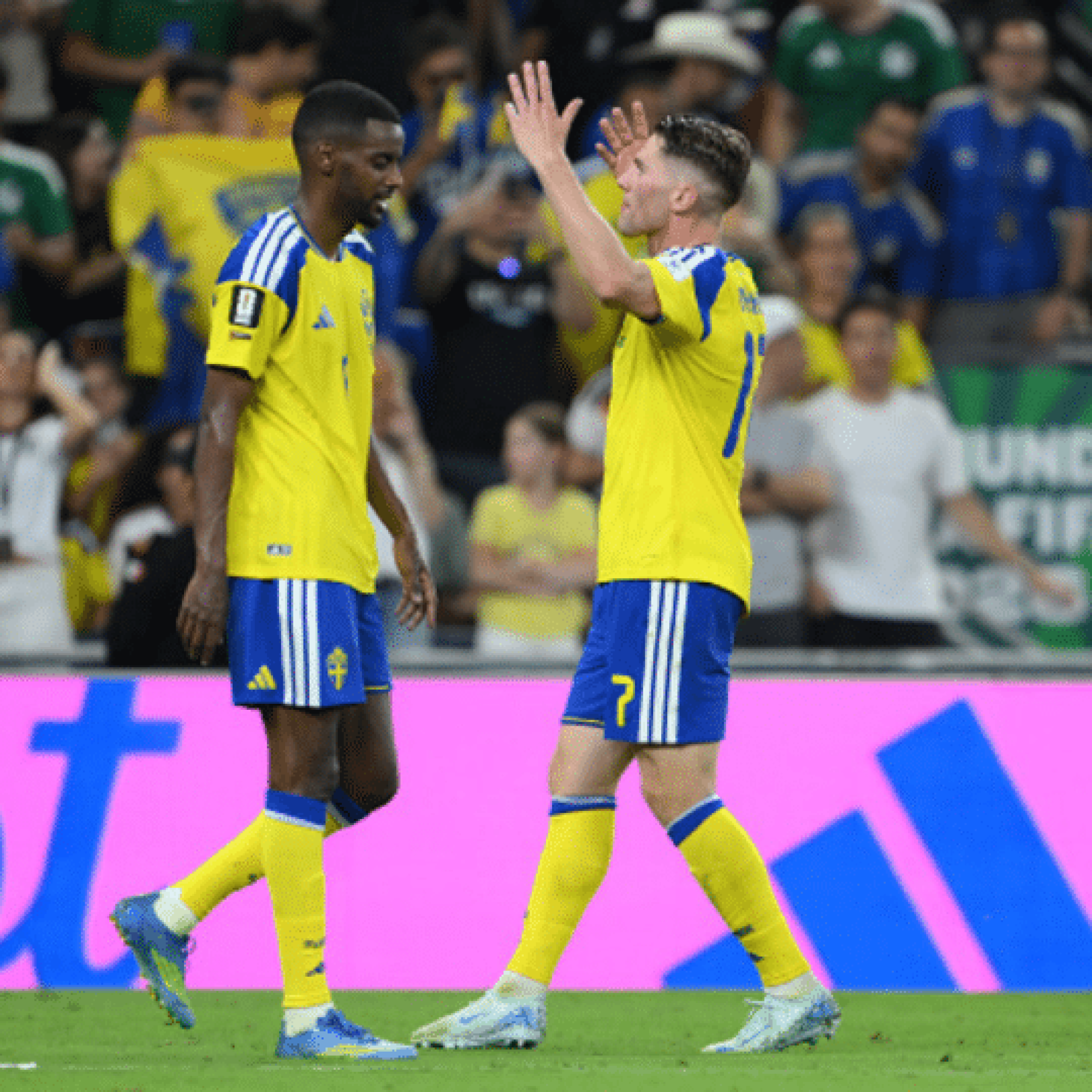 Sweden secure comfortable win over Tunisia
