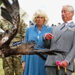 Royal Family to get a 94% surge in taxpayer-funded income whilst ‘it’s subjects’ must expect less