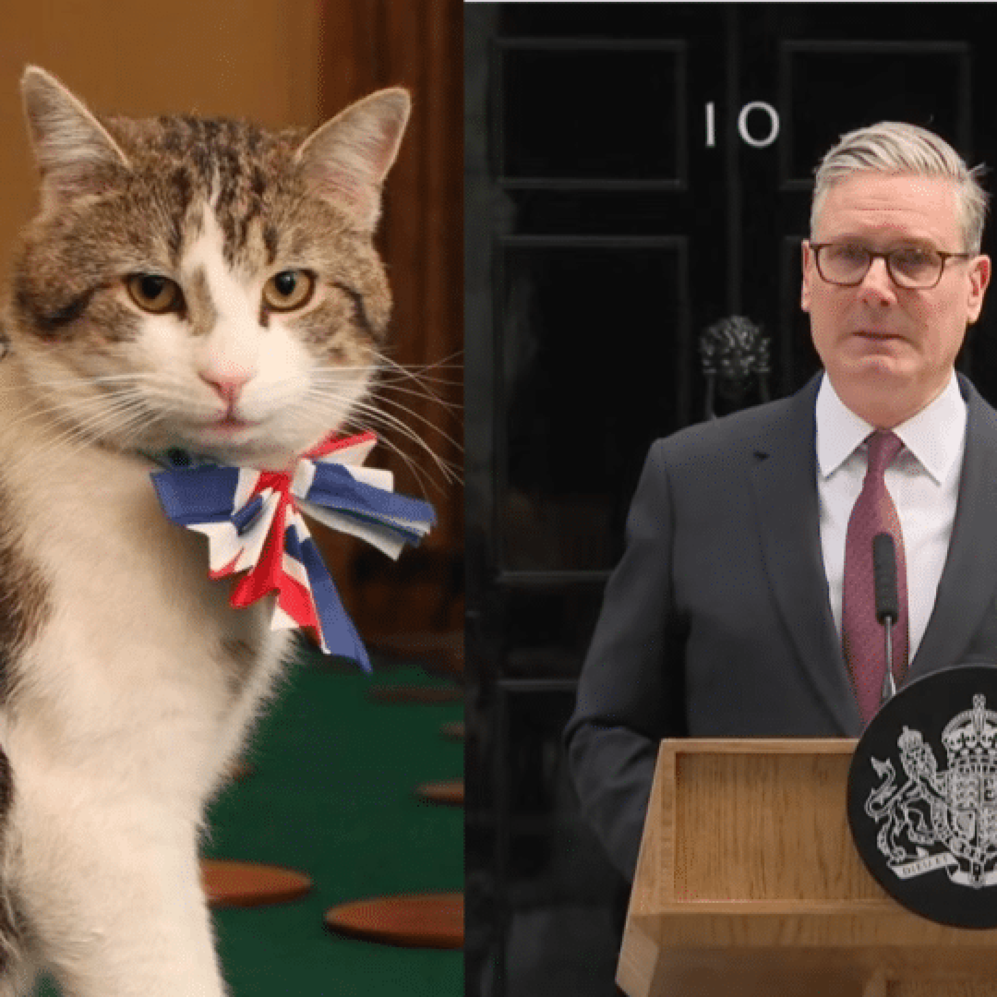 No. 10 cat is the UK’s most stable, sensible figure — charlatans come and go