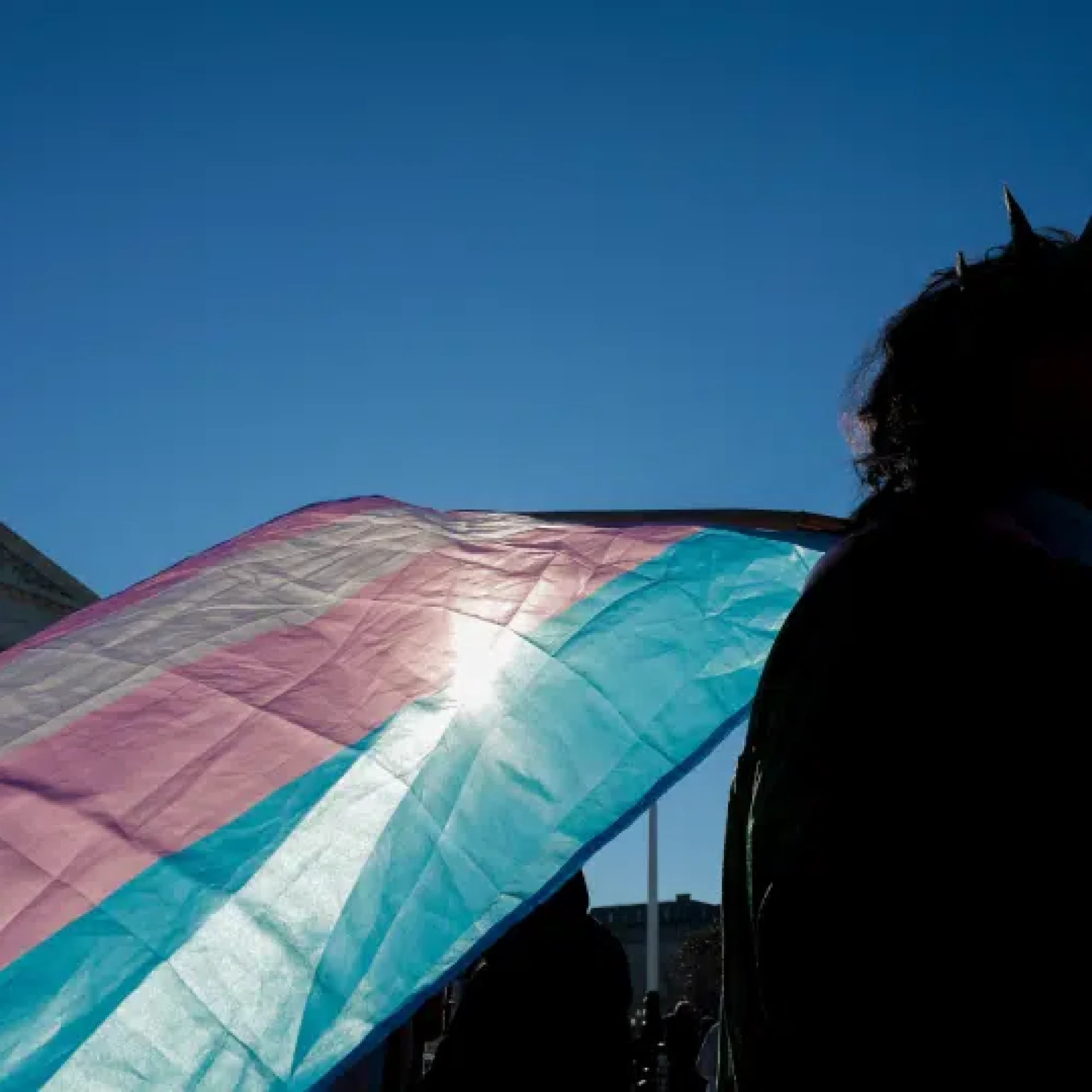 Rihanna Kelver facing felony charges shows ‘stand your ground’ is not for trans people