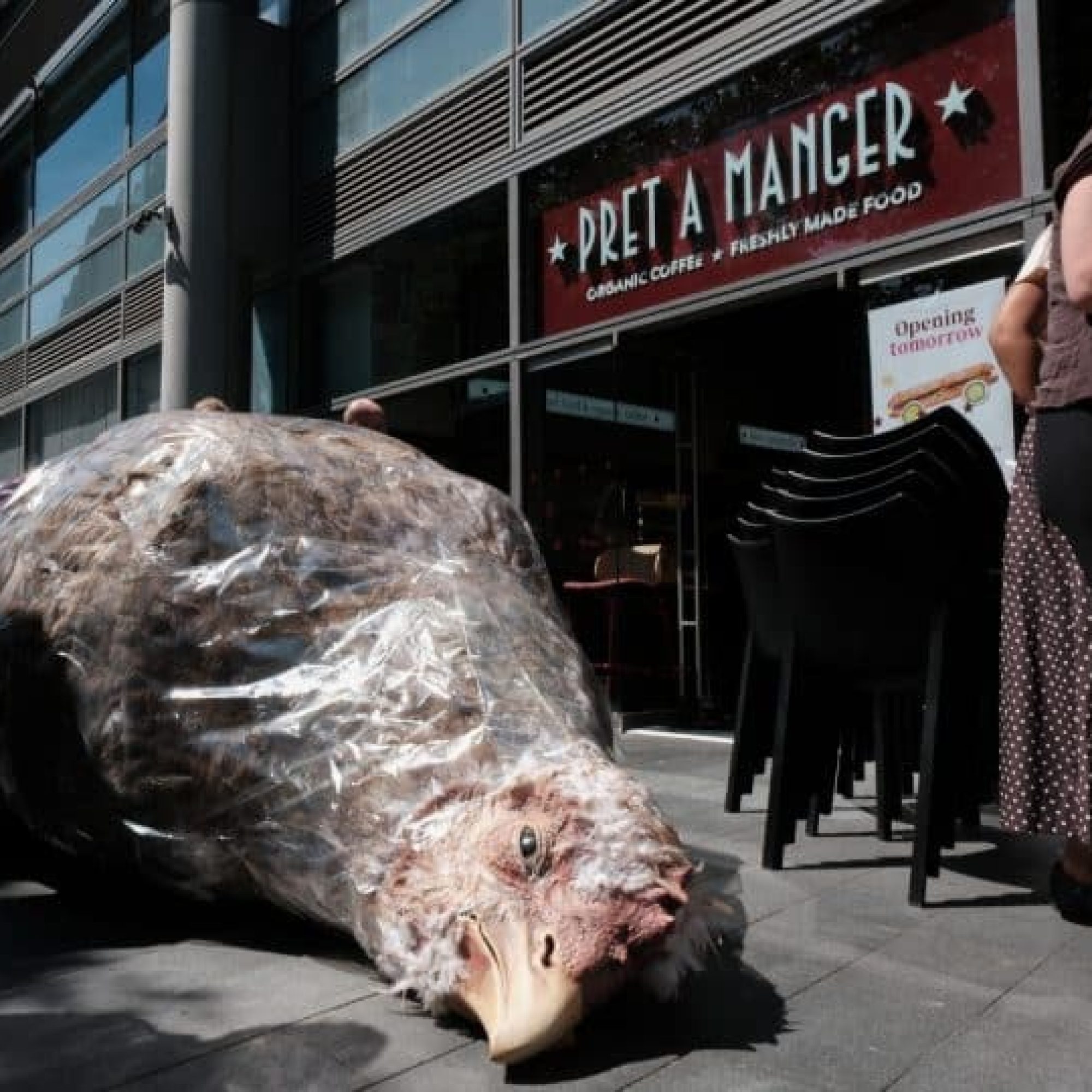 ‘Frankenchicken’ protesters crash Pret’s pre-launch opening in Spitalfields