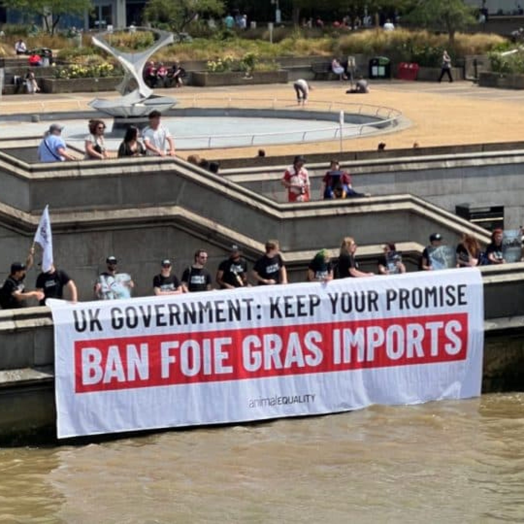 Animal activists drop giant banner on the Thames demanding foie gras import ban