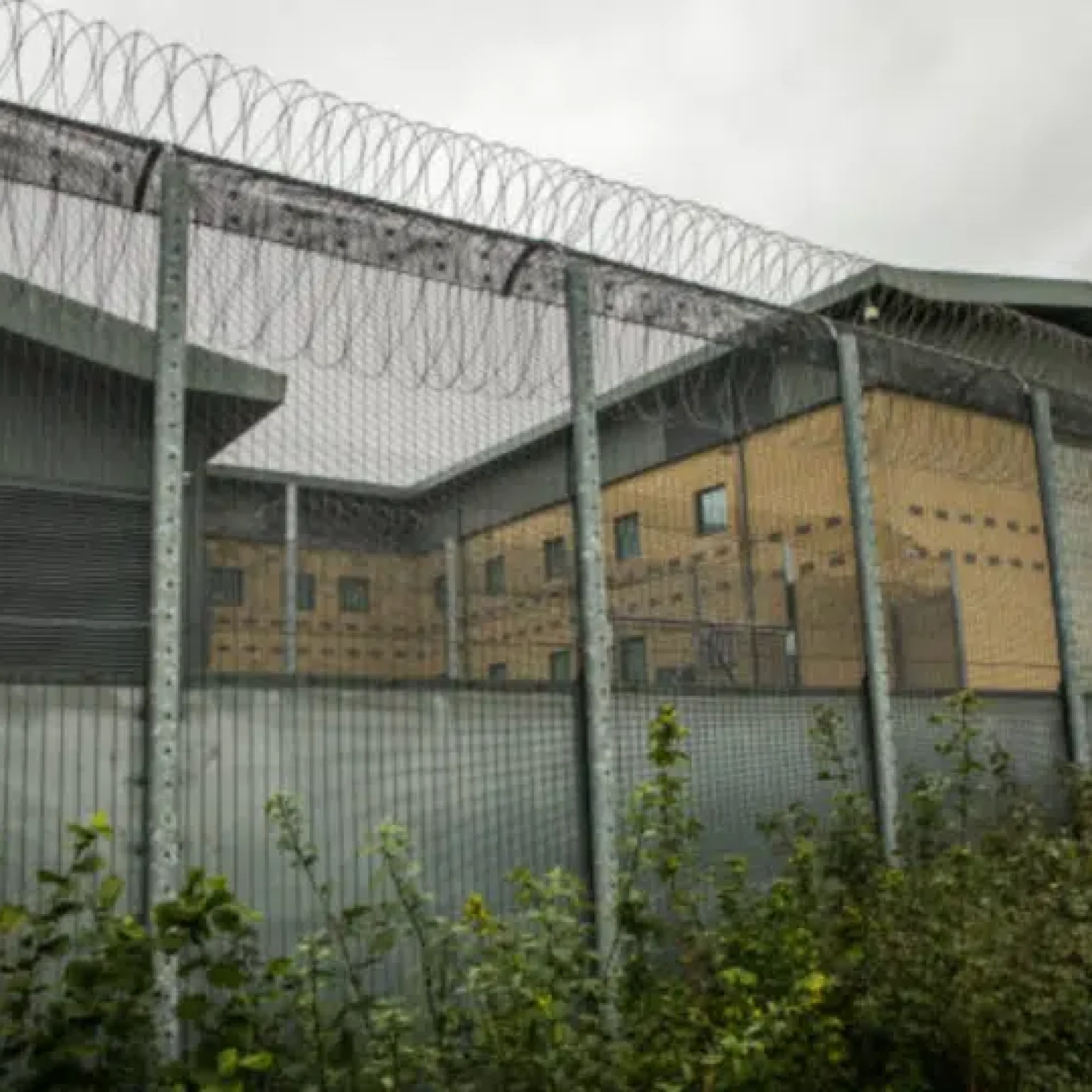 Human Rights Network blasts Home Office plan to use racist AI on asylum-seeking children