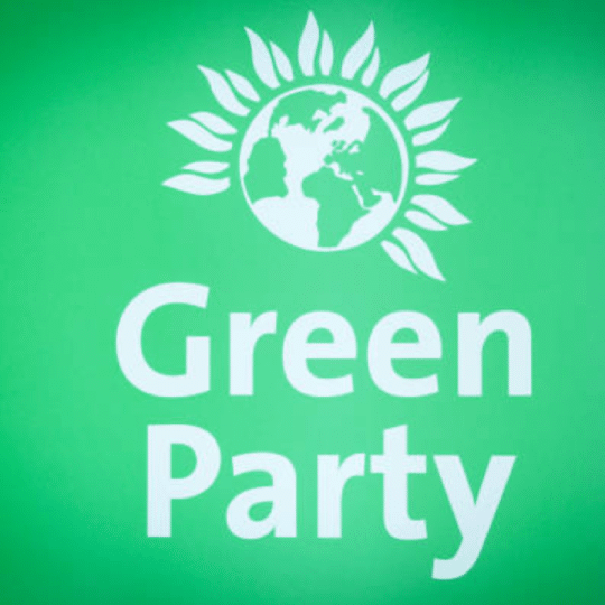 Geraldine Coggins from the Green Party comes out on top in mayoral hustings