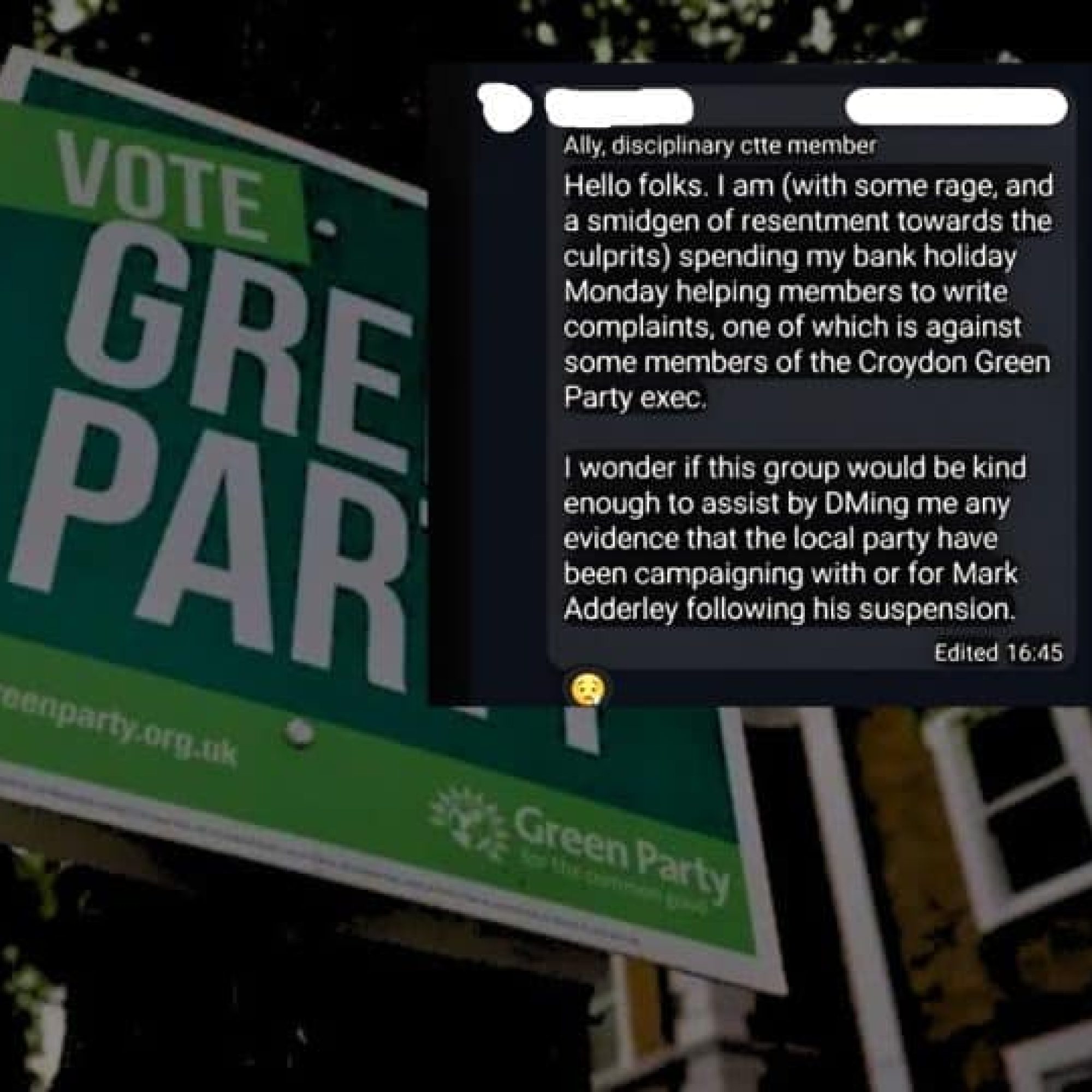 Leaked WhatsApps expose attempts to silence anti-Zionist voices by senior Green Party committee member