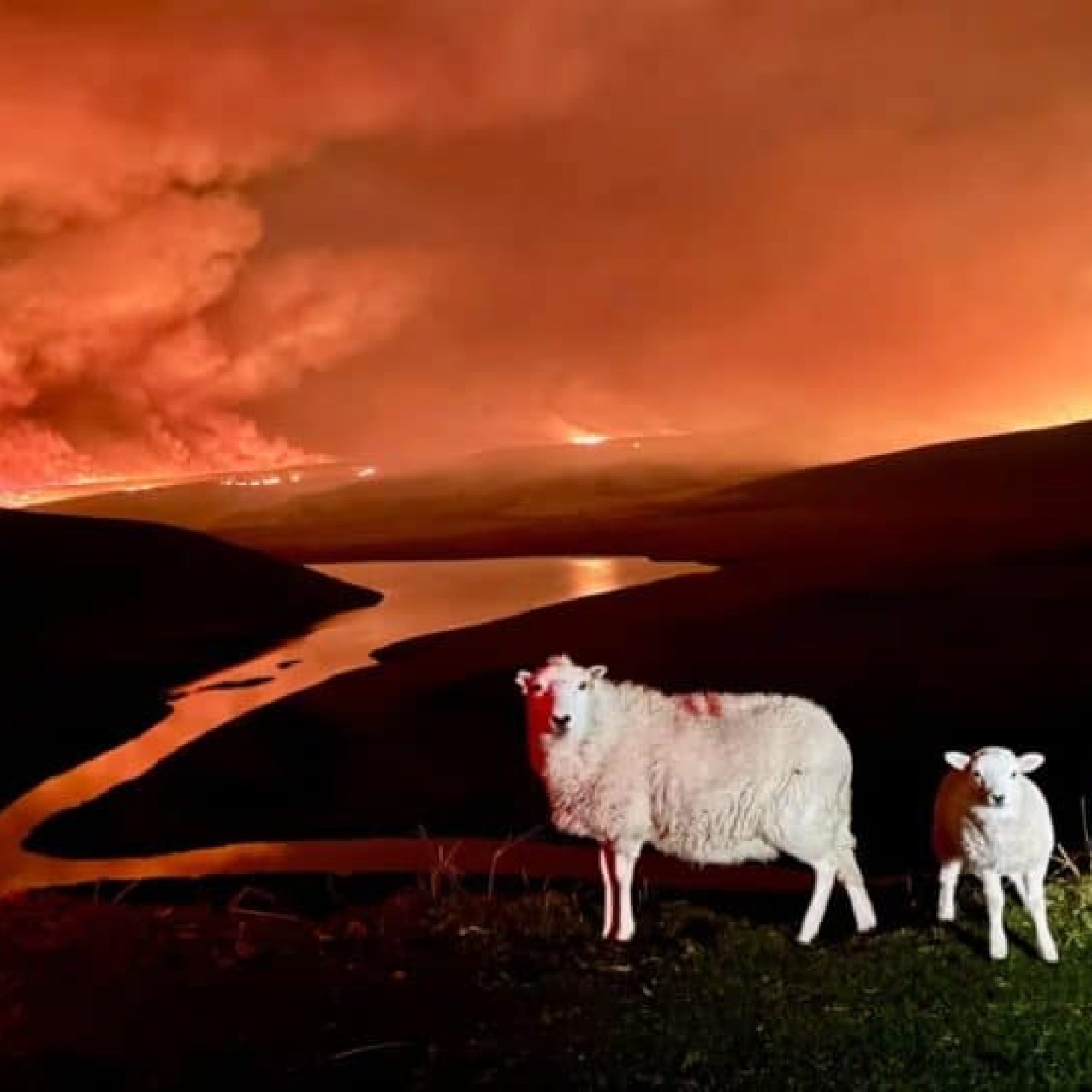 Big Oil must foot the bill for urgent heat protection as Europe swelters