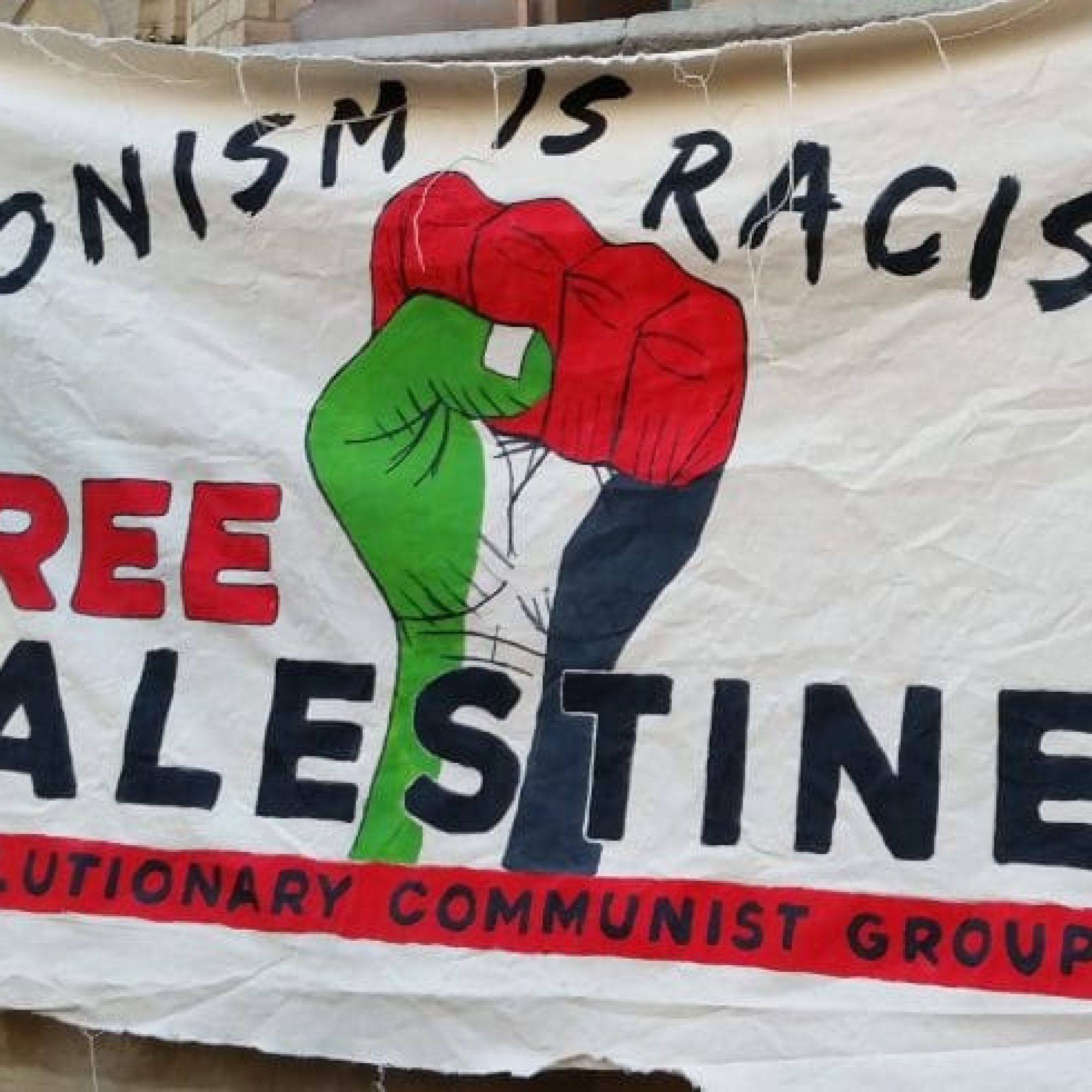 Young Greens dump pro-Israel ‘IHRA’ antisemitism ‘definition’