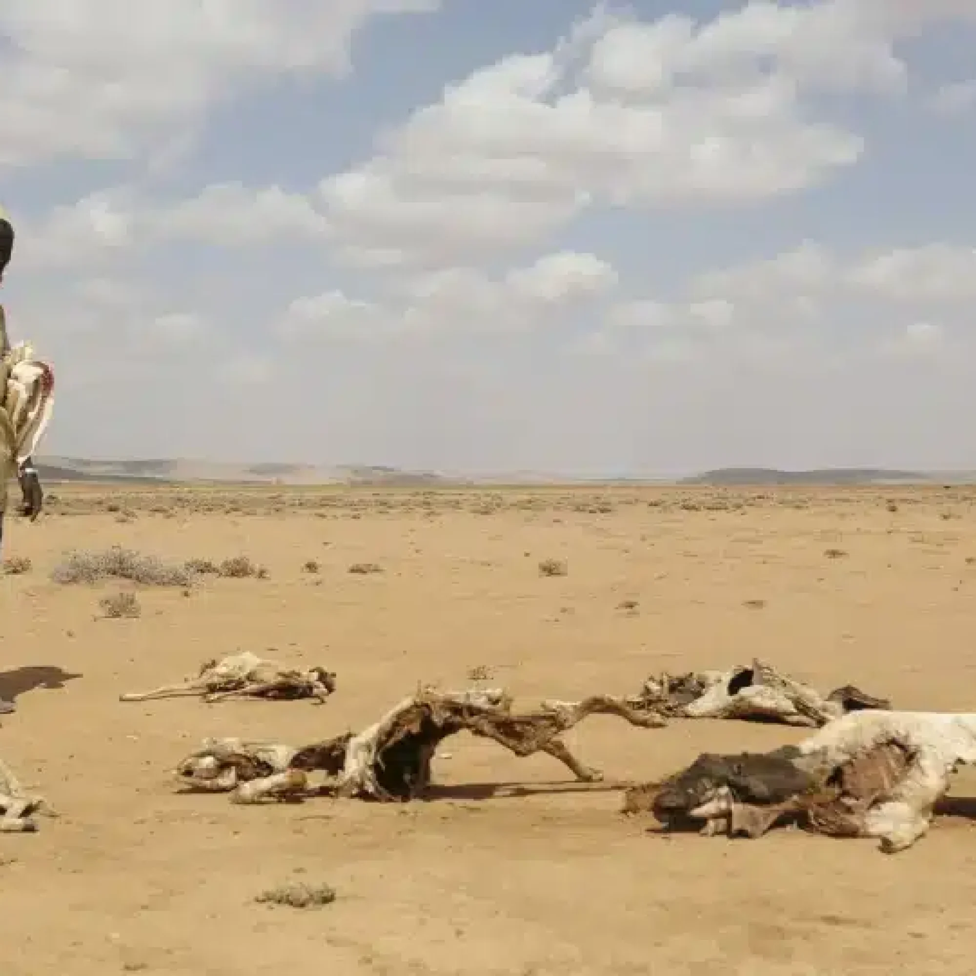Terrifying climate crisis report predicts 4 Billion Dead by 2050