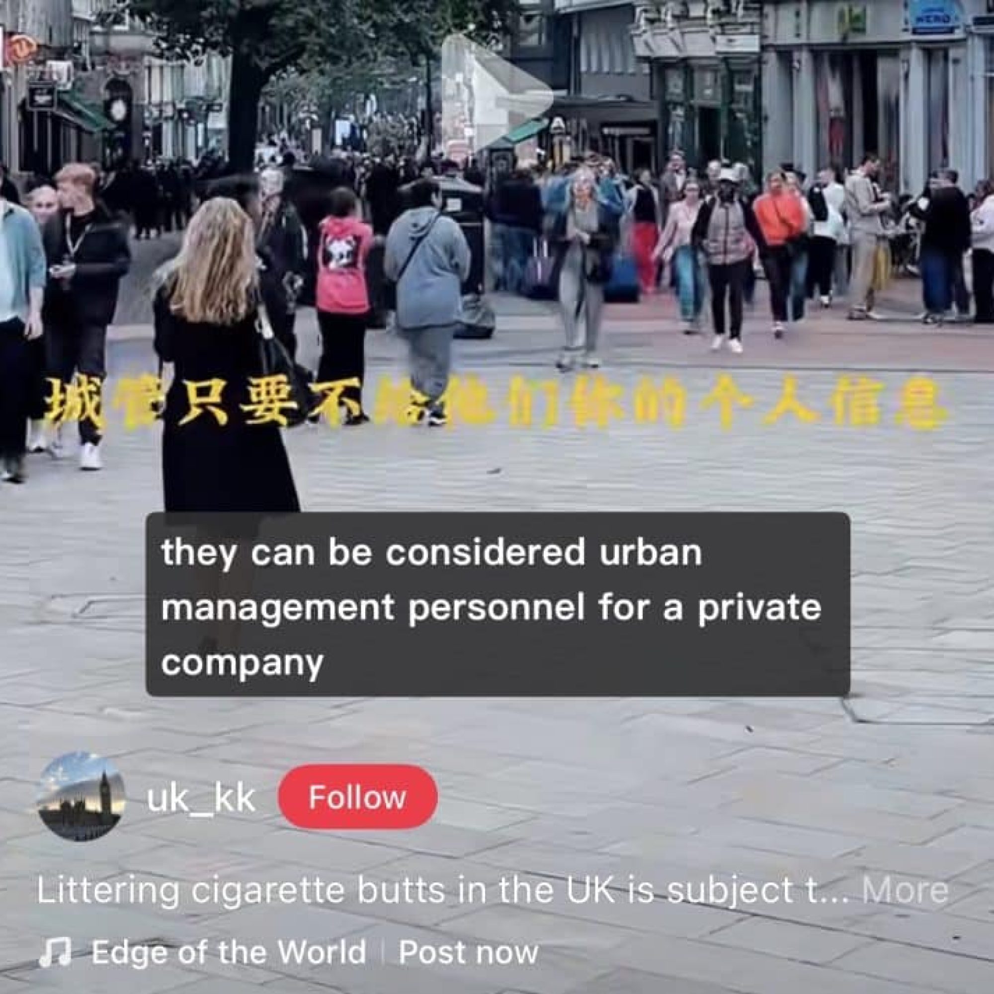 Geese, cigs, and cardboard: harassing council fines terrify insecure migrants