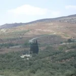 Israeli settler violence: The siege of the Sufan family in Burin