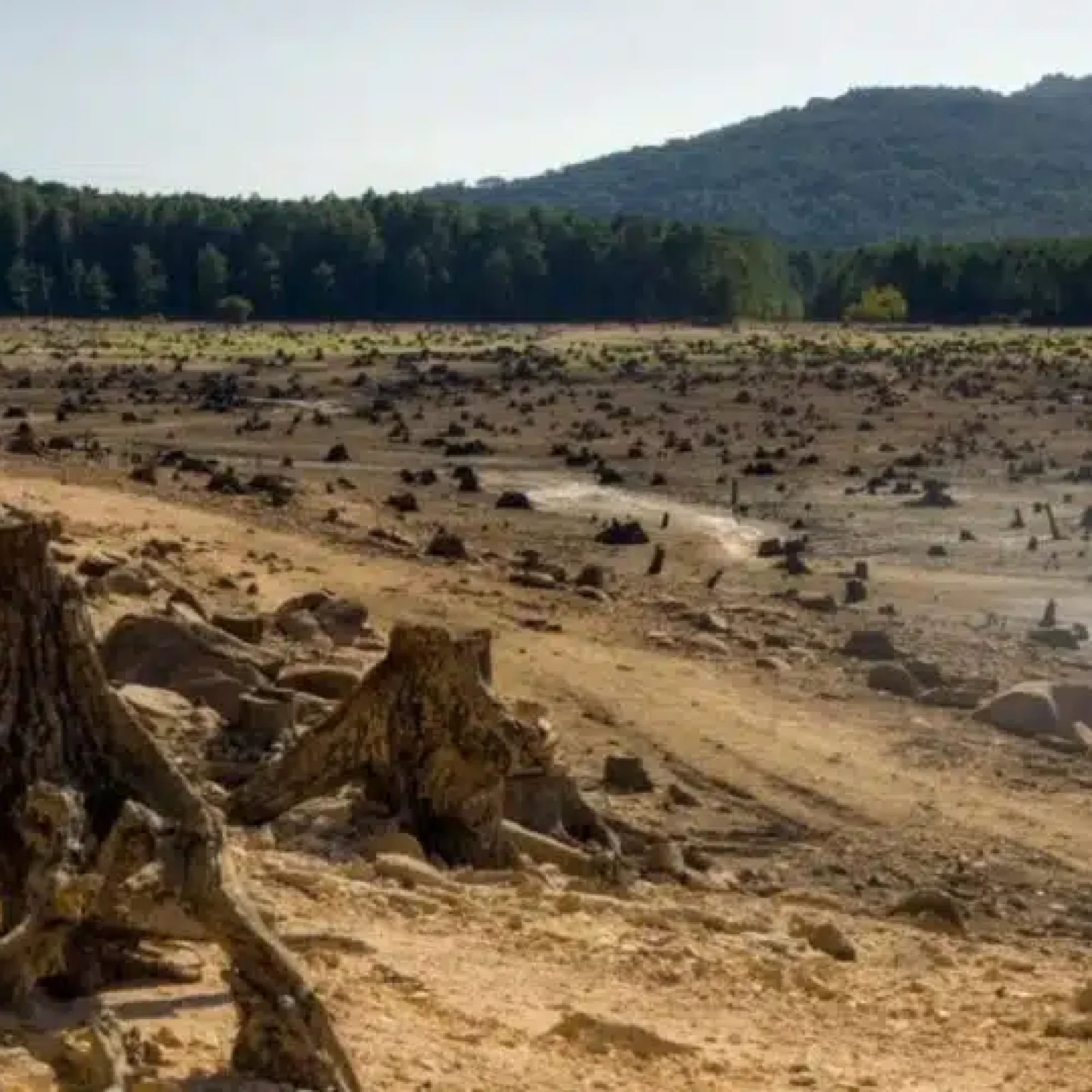Drought disaster for French farmers shows water must be a public resource