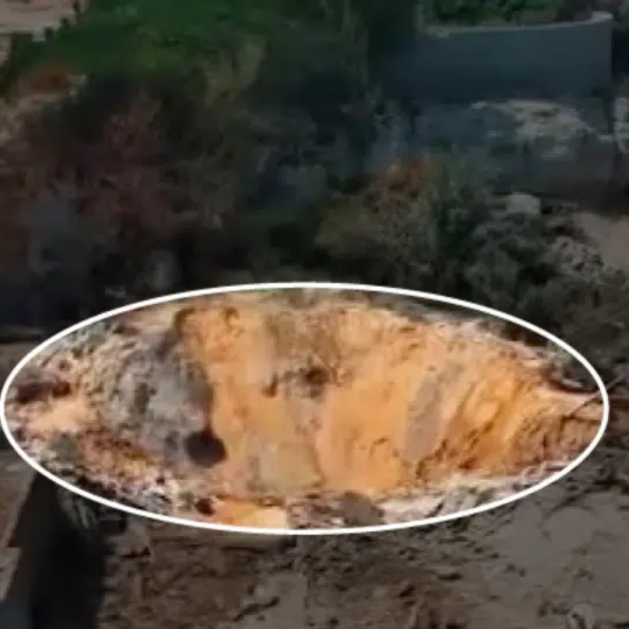 US kills Iranian family with 2,000-pound bomb