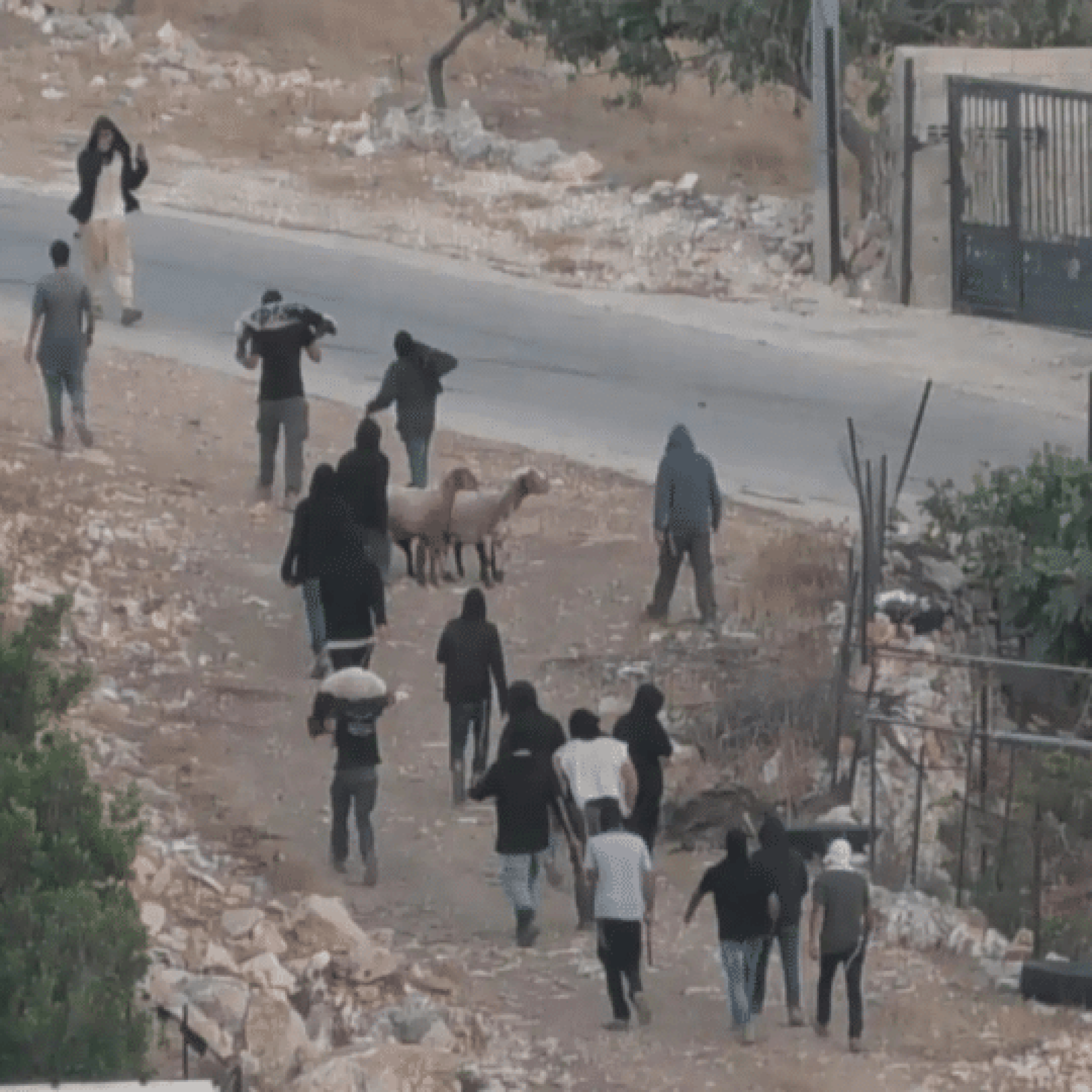 Palestinian couple hospitalised after brutal Israeli settler attack